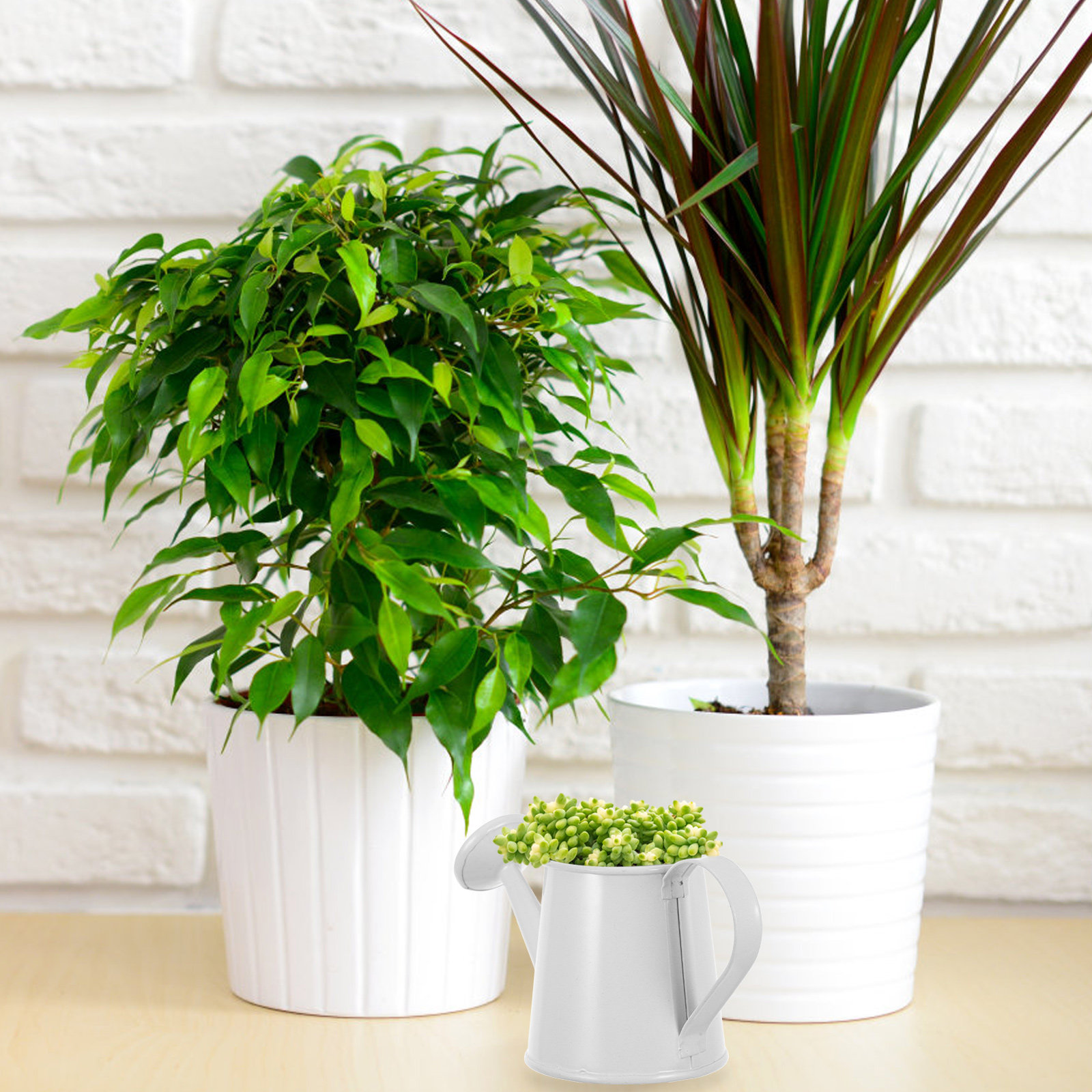 Home Office Bookshelves - 多肉植物用ミニ鉄製じょうろ 小型コンパクト装飾用植物水やりポット オフィスデスク 本棚 家庭菜園アクセサリー