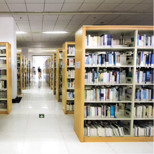 工場直販 両面本棚 金属製木製本棚 鉄製 ホームオフィス 学 - Home Office And Library のレビューと価格