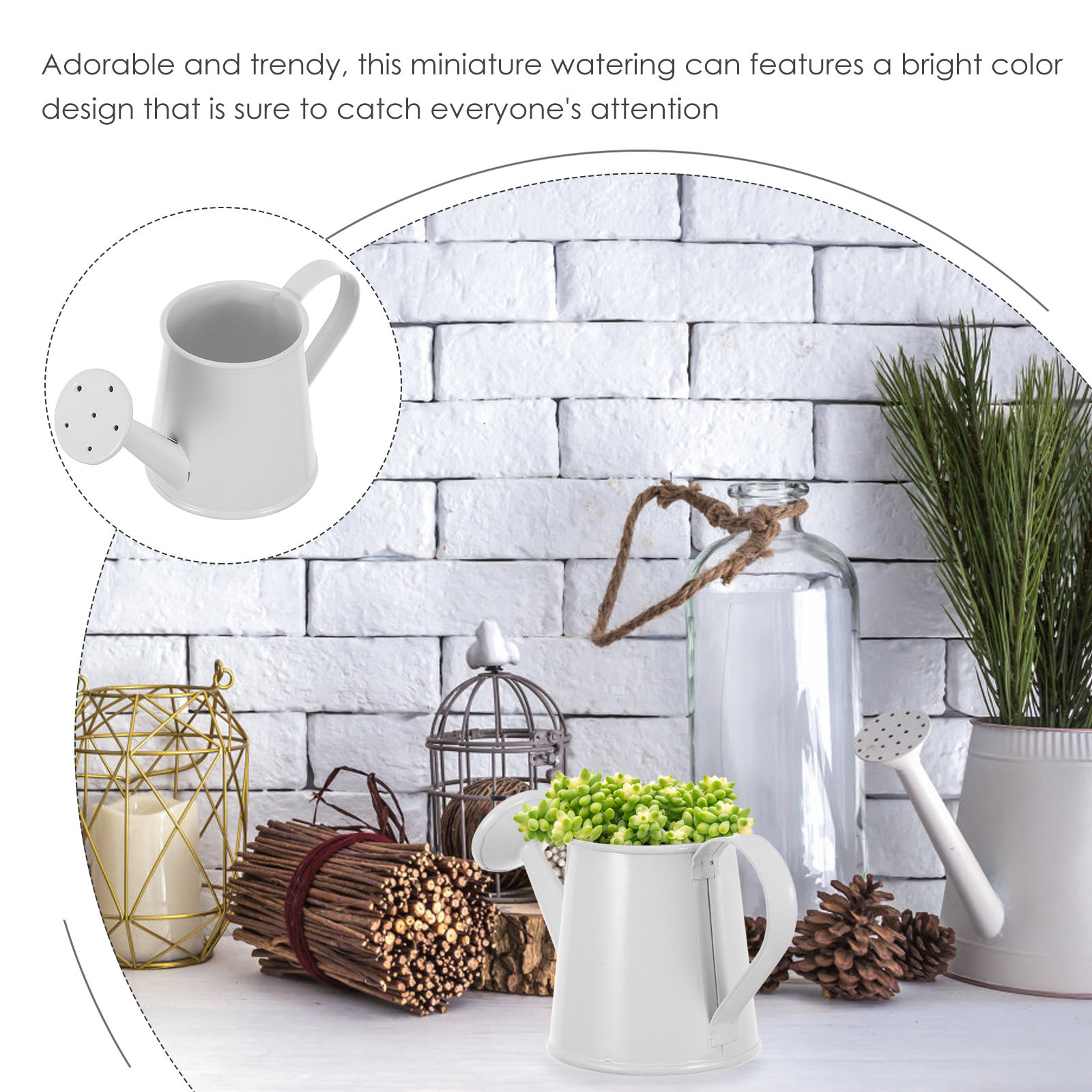 多肉植物用ミニ鉄製じょうろ 小型コンパクト装飾用植物水やりポ - Home Office Bookshelves のレビューと価格